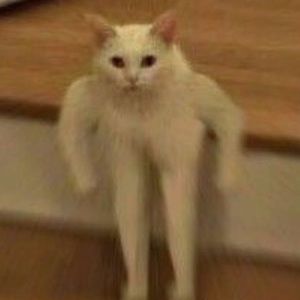 Meet your Posher, Sophie